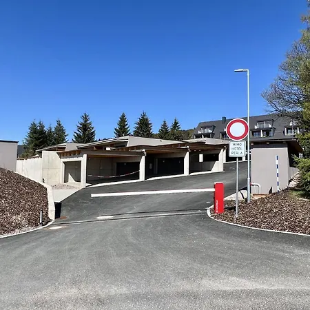 V Orlickych Horach E35 -sauna By Interhome Casa de Férias Říčky